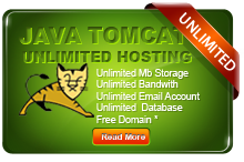Unlimited Java Hosting