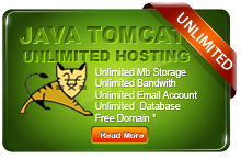 Unlimited java hosting