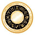 Astrologers